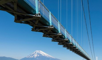 ぷりっぷりの生シラス&生桜海老と日本最長”三島SKY WALK”