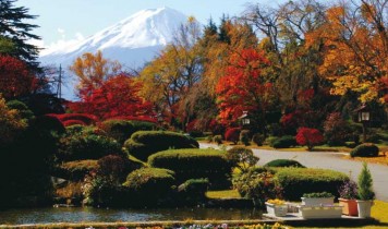 紅葉のスバルライン富士山五合目と富士ビューホテルバイキング&ぶどう狩り