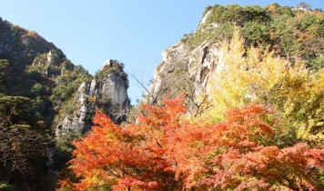新酒にごりワイン&秋色の昇仙峡と山頂に生まれた絶景の秘湯「ほったらかし温泉」