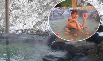 とろけるおいしさ♪ トロゆば・イチゴ狩りとかわいい老神温泉リンゴ風呂(HT)