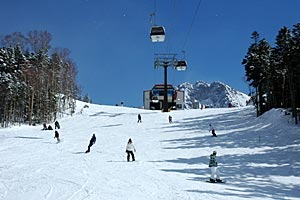 丸沼高原