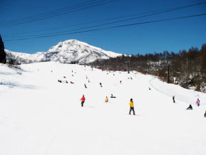 KUMADOp[N