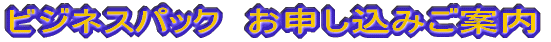 �r�W�l�X�p�b�N�@���\������