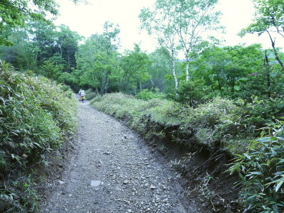 大菩薩嶺