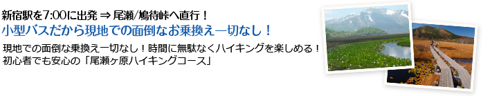 新宿駅を朝7:00に出発 ⇒ 尾瀬高原ホテルへ直行！ホテルでお弁当を受け取って鳩待峠からハイキングスタート♪「車中泊だと翌朝クタクタ…。」そんなお客様のお声から朝発バスで移動も楽しく。現地滞在短めながらフリーハイキング4～5時間で自然と花を楽しむのに十分なスケジュール。お帰りも新宿到着20時前後だから、日曜日のツアー参加も翌日疲れなし！