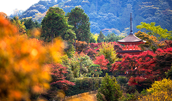 紅葉狩り