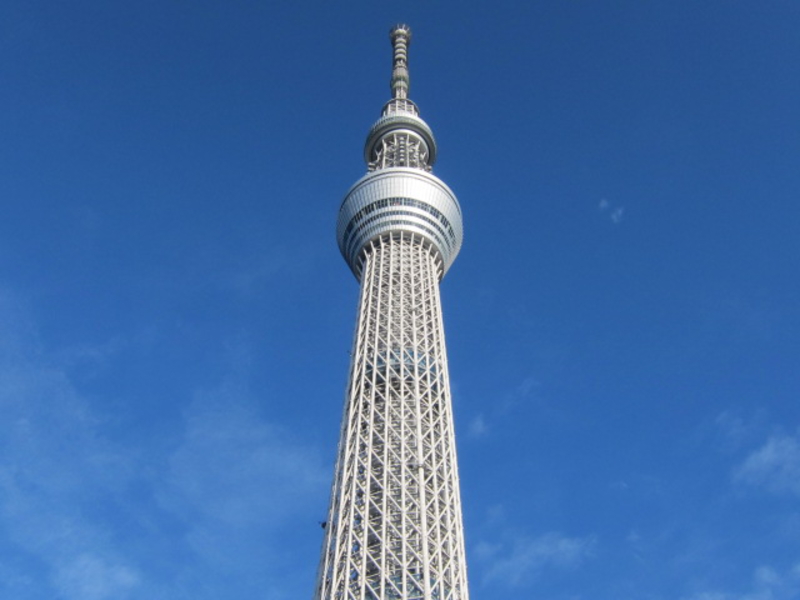 東京スカイツリー半日ライナー はとバス日帰りツアー 格安 激安のスキーツアー スノボツアーならフジメイトトラベル