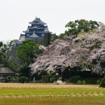 岡山ビジネスパック