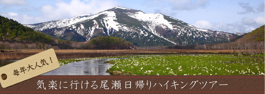 尾瀬ハイキングバスツアー《プラン一覧》へ！