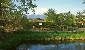 2025春★富士山を臨む忍野八海＆山梨いちご狩りと牛すき食べ比べ（HT）