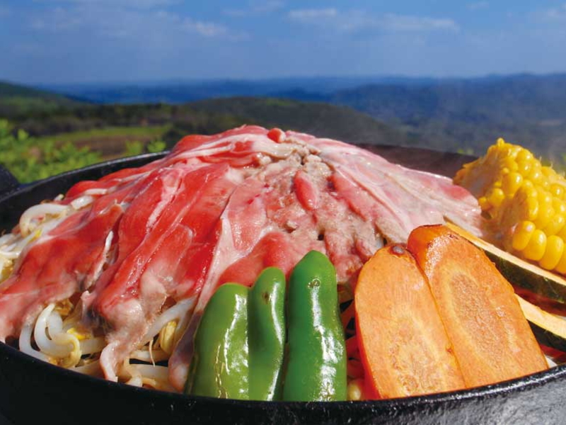 2ヶ所のイルミネーションと3種の焼肉食べ放題 はとバス日帰りツアー 格安 激安のスキーツアー スノボツアーならフジメイトトラベル