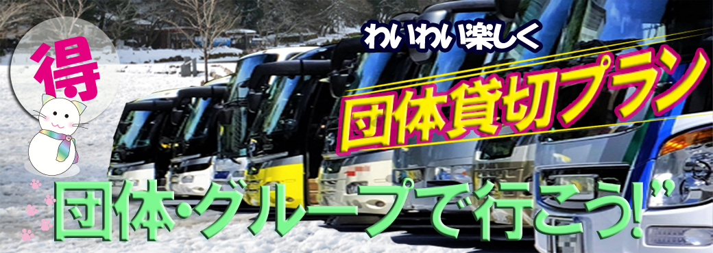 卒業旅行や社員旅行に～温泉旅行のご利用も歓迎！～