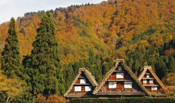 2021飛騨高山・白川郷/飛騨牛と畳敷きの大浴場を【お一人様もOK】(HT)