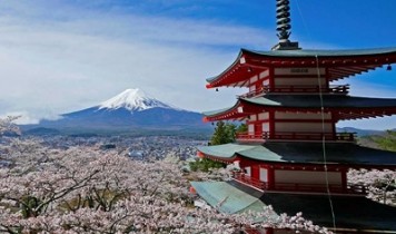 2025春の富士山★新倉山浅間公園からの絶景富士といちご狩り&郷土料理のほうとう
