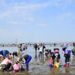 潮干狩り　※イメージ