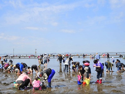 潮干狩り　※イメージ