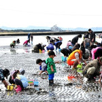 潮干狩り　※イメージ